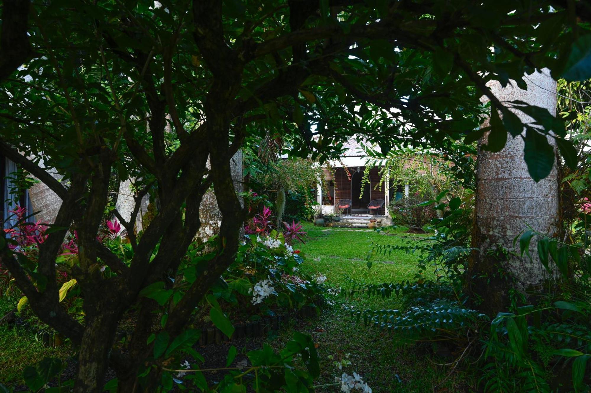 Le Medinilla Bed & Breakfast Bras-Panon Exterior photo